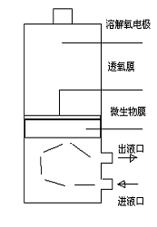 RB-50A型BOD快速测定仪，测量原理示意图